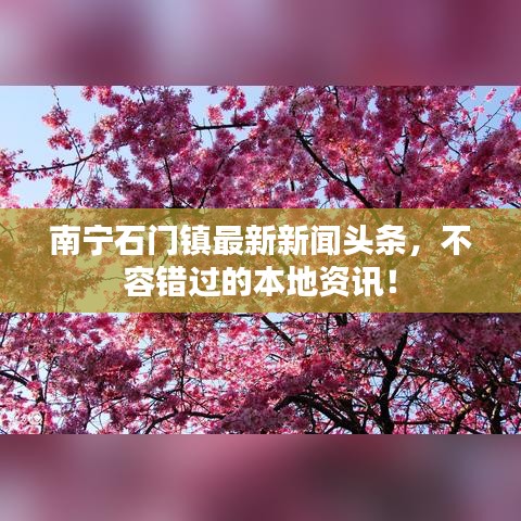 南宁石门镇最新新闻头条，不容错过的本地资讯！