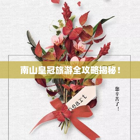 南山皇冠旅游全攻略揭秘!