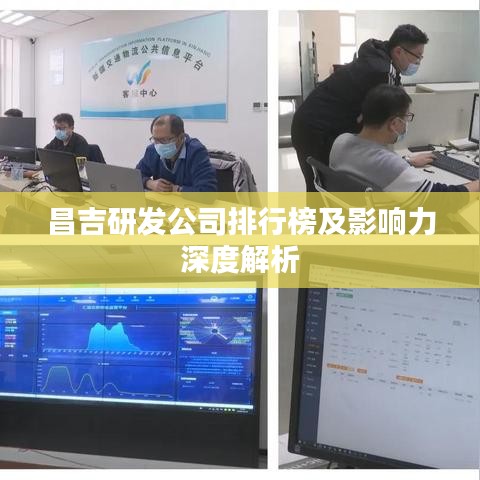 昌吉研发公司排行榜及影响力深度解析