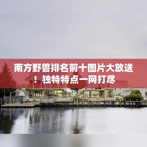 南方野兽排名前十图片大放送！独特特点一网打尽