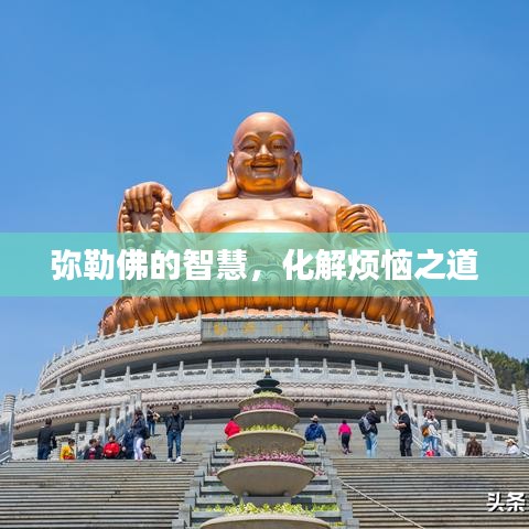 爱丽丝激活码今日同彩神争霸官方下载,仿真方案实现|精简版_v9.928