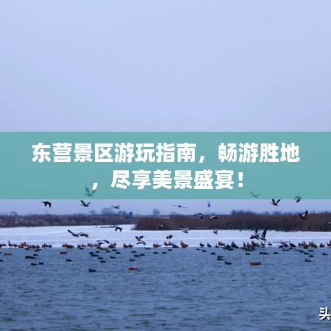 东营景区游玩指南，畅游胜地，尽享美景盛宴！