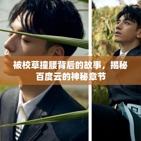 半截鸟木 第5页