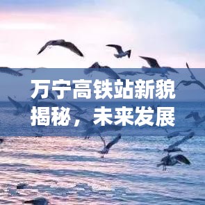 万宁高铁站新貌揭秘,未来发展展望视频热议头条新闻