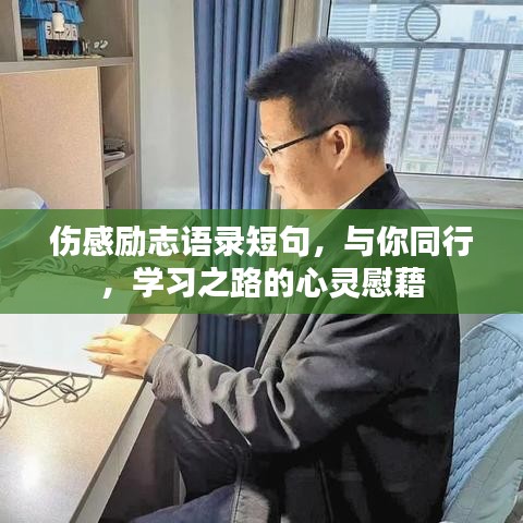 伤感励志语录短句,与你同行,学习之路的心灵慰藉