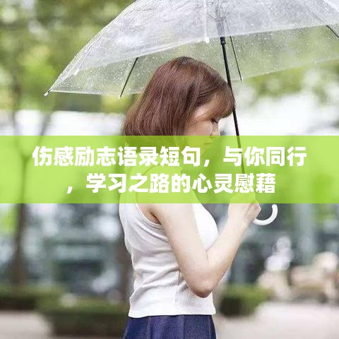 伤感励志语录短句,与你同行,学习之路的心灵慰藉