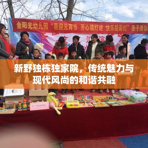 新野独栋独家院，传统魅力与现代风尚的和谐共融