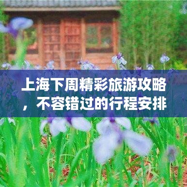 上海下周精彩旅游攻略，不容错过的行程安排！