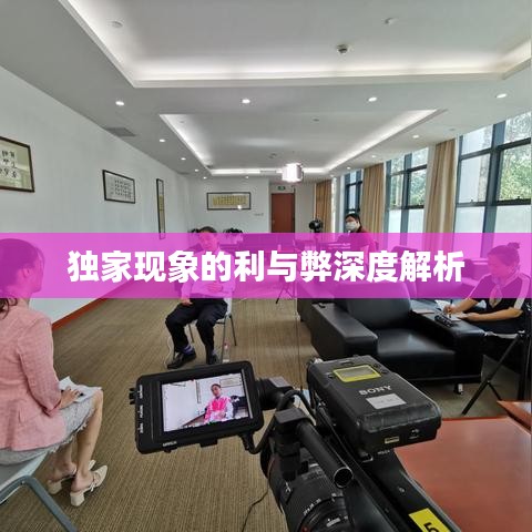 虚张声势 第7页