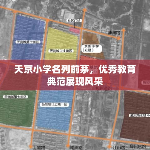 天京小学名列前茅,优秀教育典范展现风采