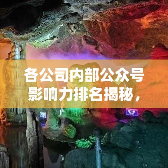 鸟云之阵 第6页