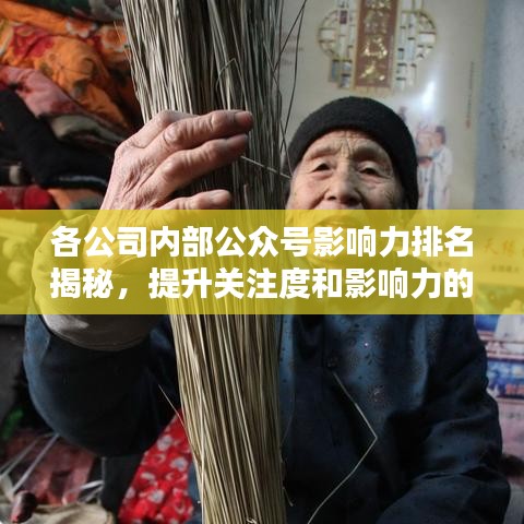 各公司内部公众号影响力排名揭秘,提升关注度和影响力的秘诀!
