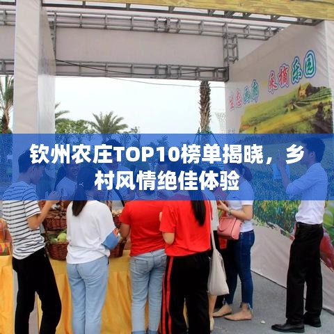 钦州农庄TOP10榜单揭晓，乡村风情绝佳体验