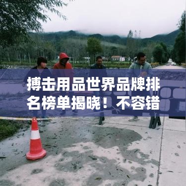 搏击用品世界品牌排名榜单揭晓!不容错过的精彩榜单