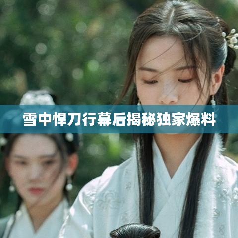 雪中悍刀行幕后揭秘独家爆料