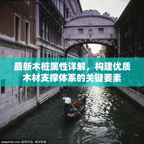 最新木桩属性详解，构建优质木材支撑体系的关键要素