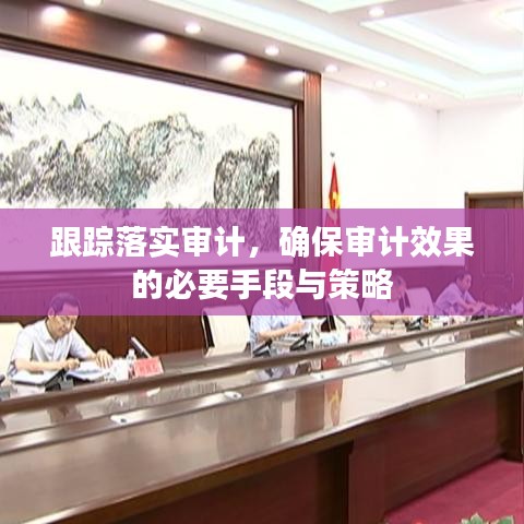 跟踪落实审计，确保审计效果的必要手段与策略