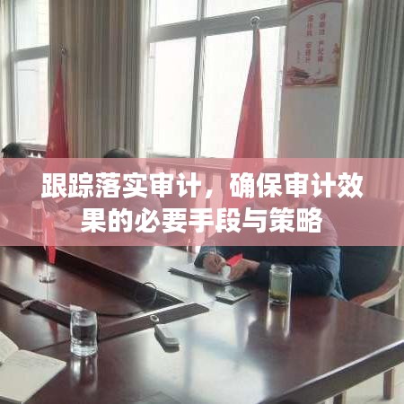 跟踪落实审计,确保审计效果的必要手段与策略