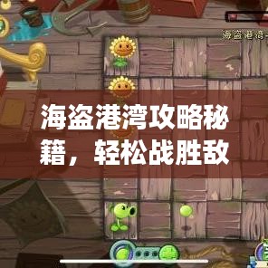 海盗港湾攻略秘籍,轻松战胜敌人,玩转游戏!