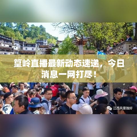 篁岭直播最新动态速递,今日消息一网打尽!