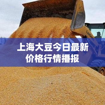 母以子贵 第2页