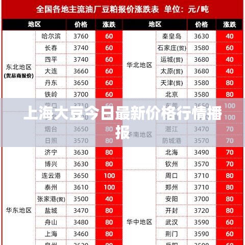 上海大豆今日最新价格行情播报
