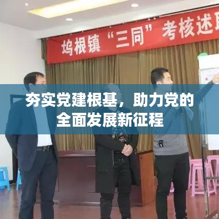 夯实党建根基,助力党的全面发展新征程