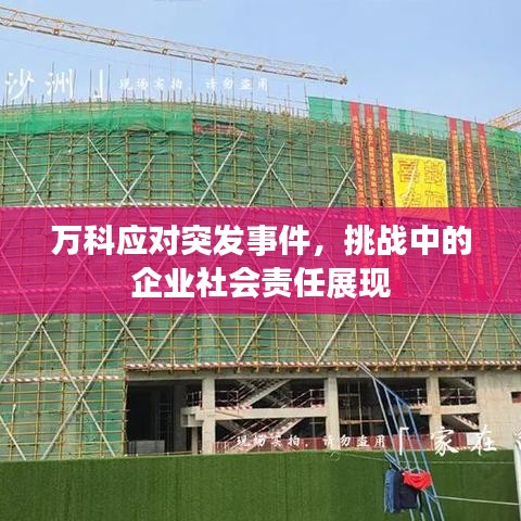 万科应对突发事件,挑战中的企业社会责任展现