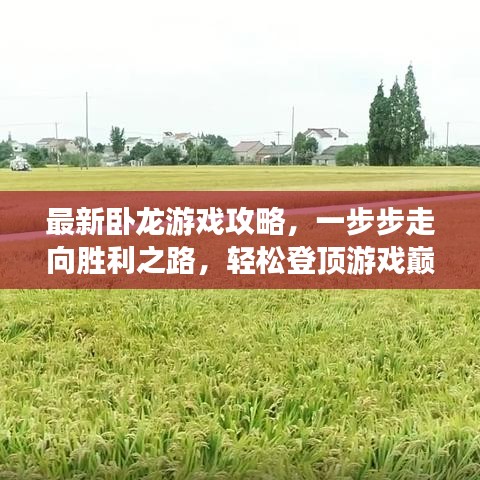 最新卧龙游戏攻略,一步步走向胜利之路,轻松登顶游戏巅峰!