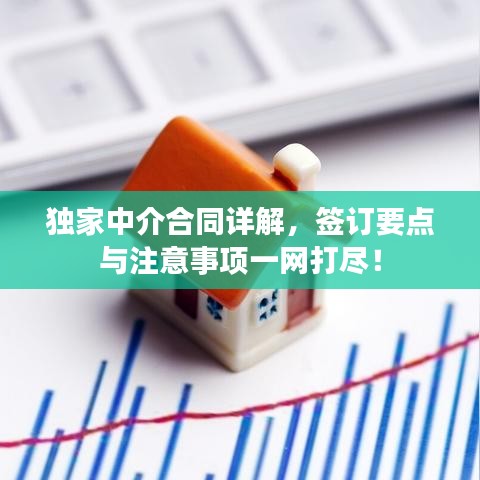 独家中介合同详解,签订要点与注意事项一网打尽!