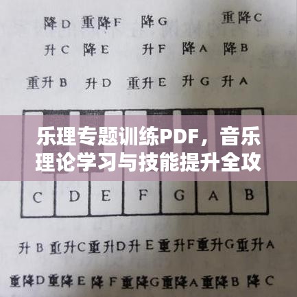 乐理专题训练PDF,音乐理论学习与技能提升全攻略