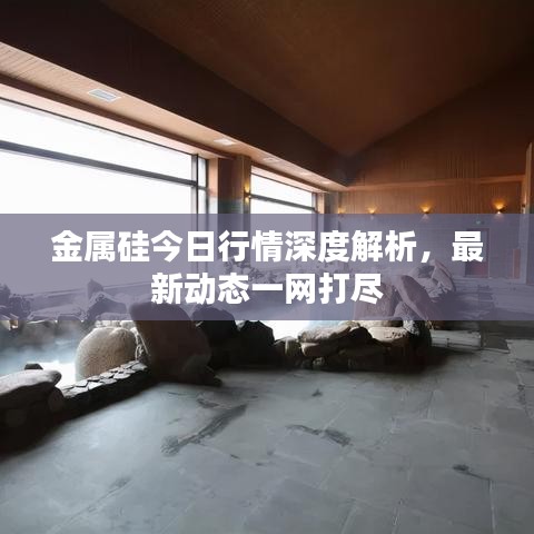 金属硅今日行情深度解析,最新动态一网打尽