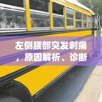 左侧腰部突发刺痛，原因解析、诊断指南与治疗方案