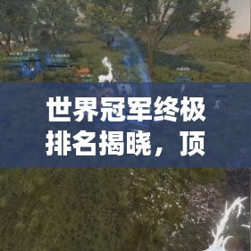 世界冠军终极排名揭晓，顶尖选手荣耀之巅