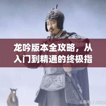 龙吟版本全攻略,从入门到精通的终极指南