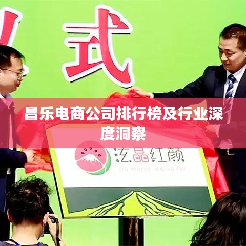 昌乐电商公司排行榜及行业深度洞察