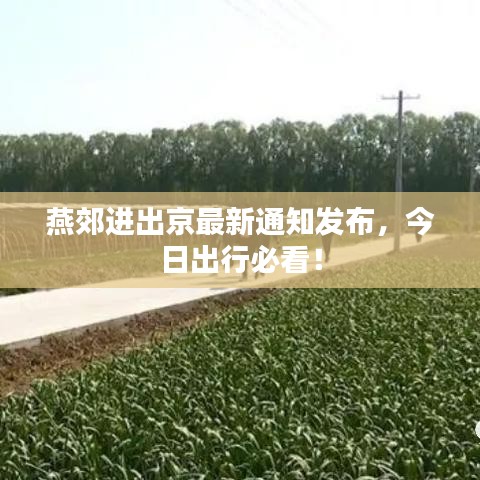 推襟送抱 第7页