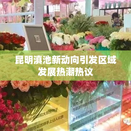 昆明滇池新动向引发区域发展热潮热议