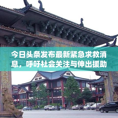 今日头条发布最新紧急求救消息,呼吁社会关注与伸出援助之手