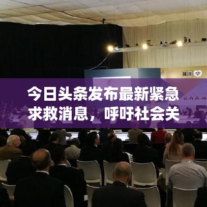 今日头条发布最新紧急求救消息,呼吁社会关注与伸出援助之手