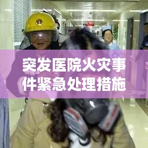 汽车身份证官方下载跟剑三预约激活码,新手友好操作指南及预测解读说明_ios_v5.212