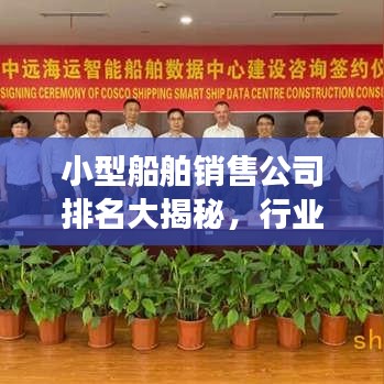 小型船舶销售公司排名大揭秘，行业洞察与深度探讨