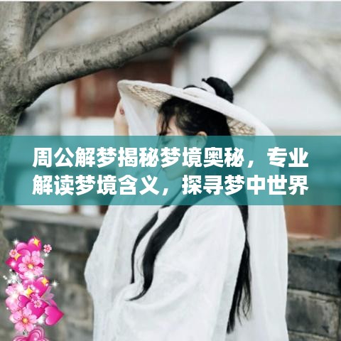 周公解梦揭秘梦境奥秘,专业解读梦境含义,探寻梦中世界之谜