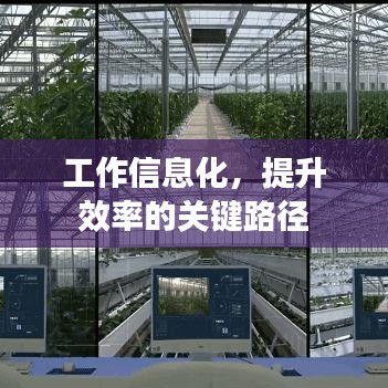 工作信息化,提升效率的关键路径
