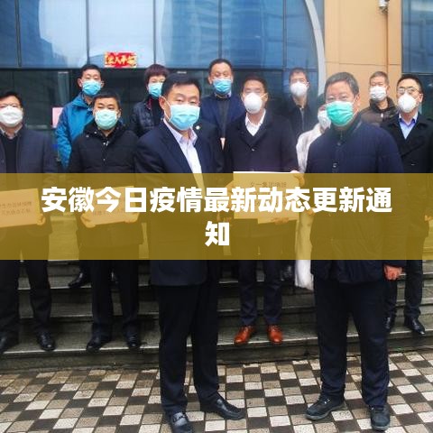 安徽今日疫情最新动态更新通知
