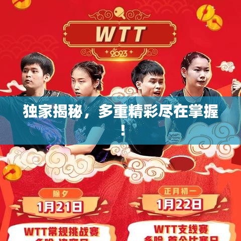 独家揭秘，多重精彩尽在掌握！