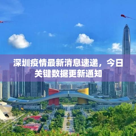 鸢飞鱼跃 第6页