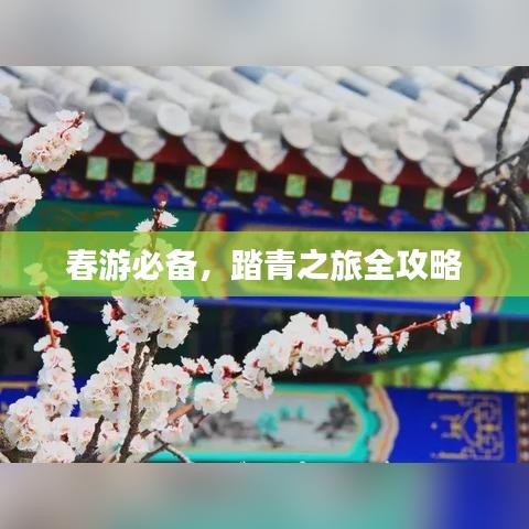 春游必备，踏青之旅全攻略