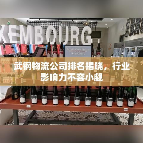 武钢物流公司排名揭晓，行业影响力不容小觑
