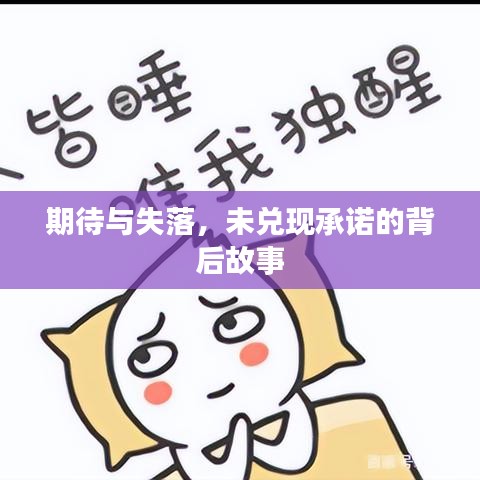 期待与失落，未兑现承诺的背后故事